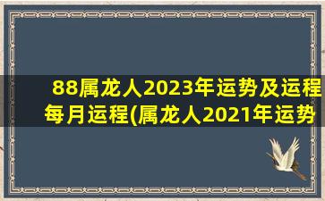 88属龙人2023年运势及运程