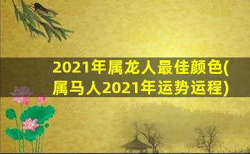 2021年属龙人最佳颜色(属马人2021年运势运程)