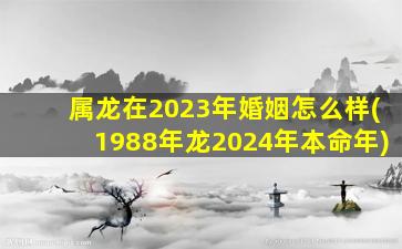 属龙在2023年婚姻怎么样