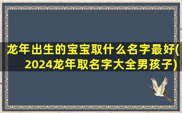 龙年出生的宝宝取什么名字最好(2024龙年取名字大全男孩子)