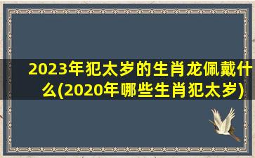 2023年犯太岁的生肖龙佩戴什么(2020年哪些生肖犯太岁)