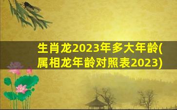 生肖龙2023年多大年龄(属相