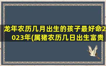 龙年农历几月出生的孩子最好命2023年(属猪农历几日出生富贵命)