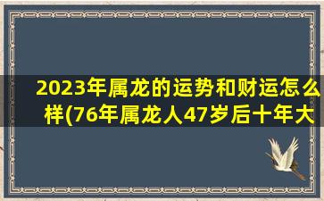 2023年属龙的运势和财运怎