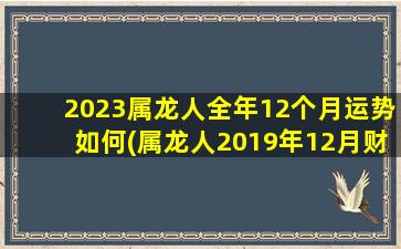 2023属龙人全年12个月运势如何(属龙人2019年12月财运)