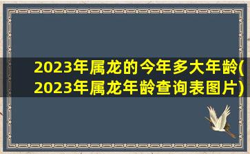 2023年属龙的今年多大年