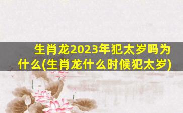 生肖龙2023年犯太岁吗为