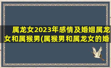 属龙女2023年感情及婚姻属龙女和属猴男(属猴男和属龙女的婚姻怎么样)