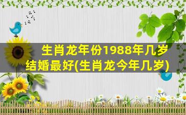 生肖龙年份1988年几岁结婚最好(生肖龙今年几岁)