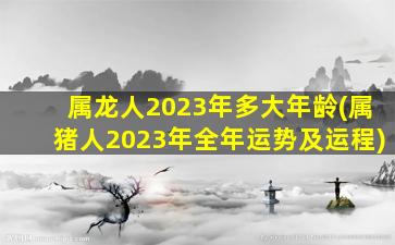 属龙人2023年多大年龄(属