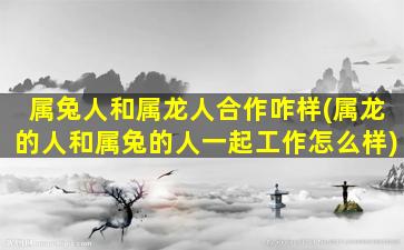 属兔人和属龙人合作咋样(属龙的人和属兔的人一起工作怎么样)