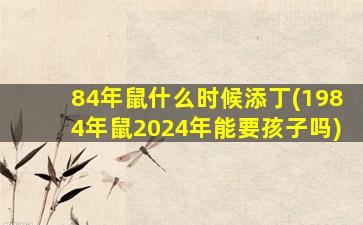 84年鼠什么时候添丁(1984年鼠2024年能要孩子吗)