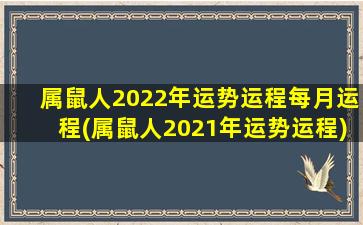 属鼠人2022年运势运程每