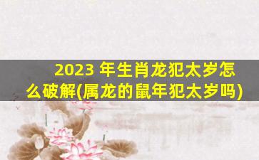 2023 年生肖龙犯太岁怎么破解(属龙的鼠年犯太岁吗)