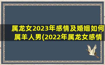 属龙女2023年感情及婚姻