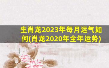 生肖龙2023年每月运气如何(肖龙2020年全年运势)