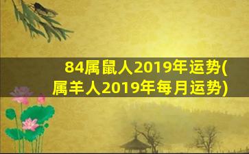 84属鼠人2019年运势(属羊人2019年每月运势)