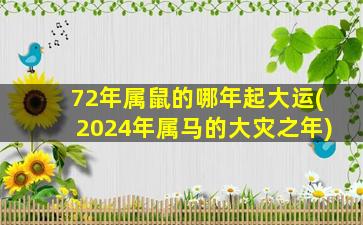 72年属鼠的哪年起大运(2024年属马的大灾之年)