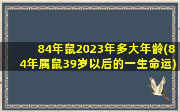 84年鼠2023年多大年龄(84年