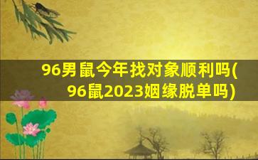 96男鼠今年找对象顺利吗(96鼠2023姻缘脱单吗)