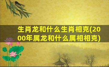 生肖龙和什么生肖相克(2000年属龙和什么属相相克)