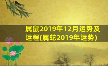 属鼠2019年12月运势及运程