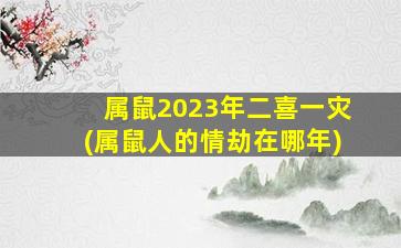 属鼠2023年二喜一灾(属鼠