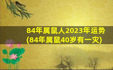 <strong>84年属鼠人2023年运势(8</strong>