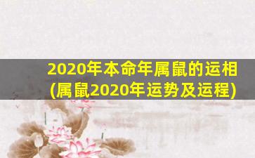 2020年本命年属鼠的运相