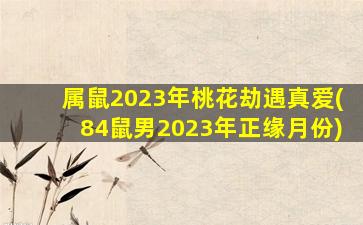 属鼠2023年桃花劫遇真爱