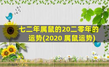 七二年属鼠的20二零年的运势(2020 属鼠运势)