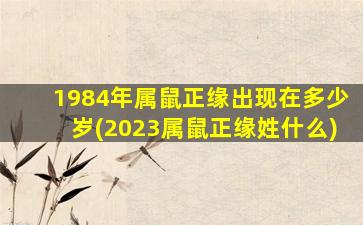 1984年属鼠正缘出现在多少岁(2023属鼠正缘姓什么)