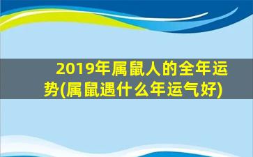 2019年属鼠人的全年运势