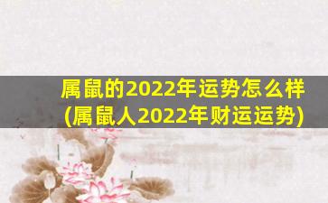 属鼠的2022年运势怎么样(属鼠人2022年财运运势)