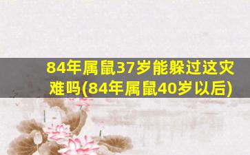 84年属鼠37岁能躲过这灾难吗(84年属鼠40岁以后)