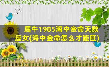 属牛1985海中金命天歇座