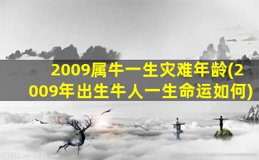 2009属牛一生灾难年龄(2009年出生牛人一生命运如何)