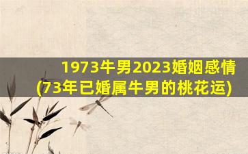 1973牛男2023婚姻感情(73年已