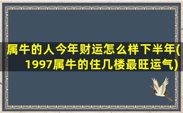 属牛的人今年财运怎么样