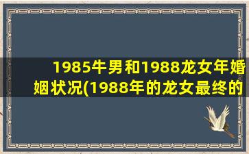 1985牛男和1988龙女年婚姻