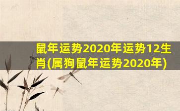 鼠年运势2020年运势12生肖(属狗鼠年运势2020年)