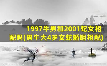 1997牛男和2001蛇女相配吗