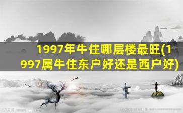 1997年牛住哪层楼最旺(19