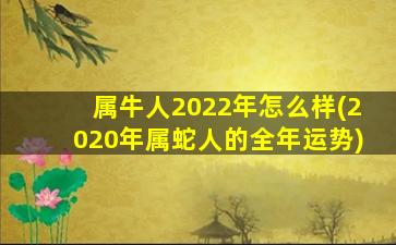 属牛人2022年怎么样(2020年