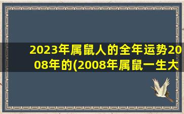 2023年属鼠人的全年运势