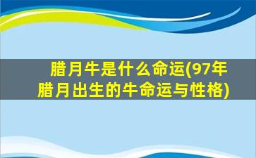 腊月牛是什么命运(97年腊月出生的牛命运与性格)