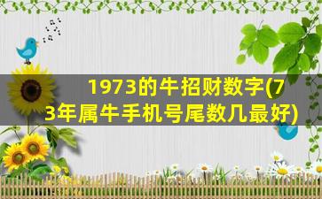 1973的牛招财数字(73年属牛