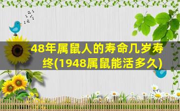 48年属鼠人的寿命几岁寿终(1948属鼠能活多久)