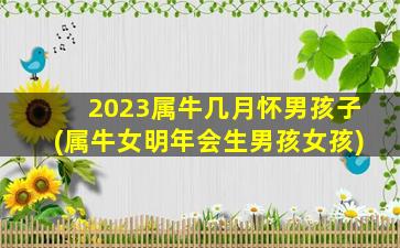 <strong>2023属牛几月怀男孩子(属</strong>