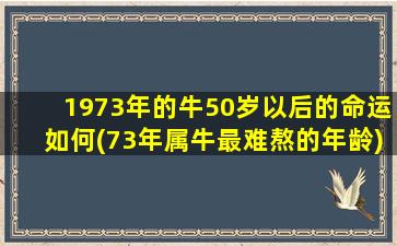 1973年的牛50岁以后的命运